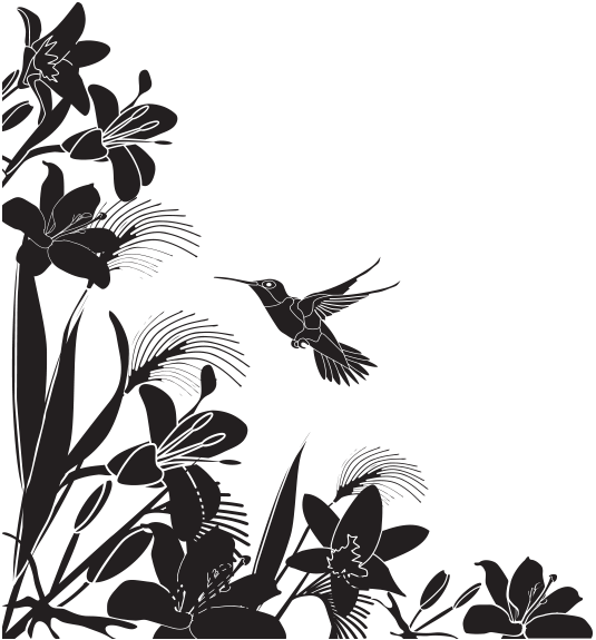 Hummingbird Haven of Mendocino, A Serene & Comfortable Bed and Breakfast on the Mendocino Coast